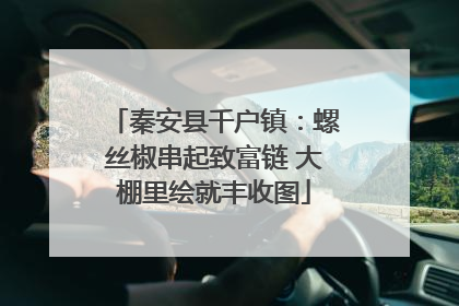 秦安县千户镇：螺丝椒串起致富链 大棚里绘就丰收图