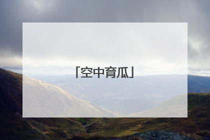 空中育瓜