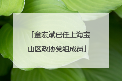 章宏斌已任上海宝山区政协党组成员