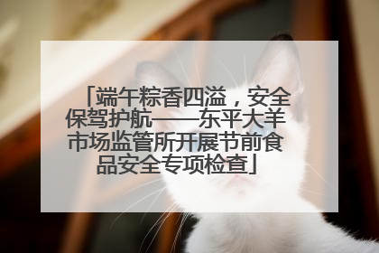 端午粽香四溢，安全保驾护航——东平大羊市场监管所开展节前食品安全专项检查
