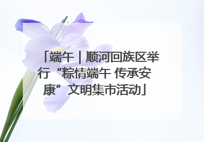 端午｜顺河回族区举行“粽情端午 传承安康”文明集市活动