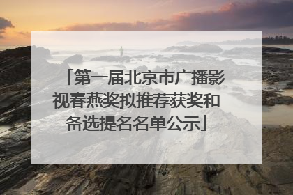 第一届北京市广播影视春燕奖拟推荐获奖和备选提名名单公示