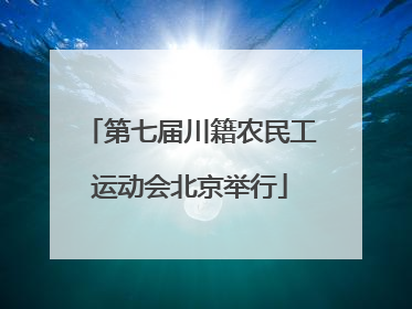 第七届川籍农民工运动会北京举行