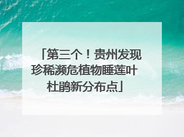 第三个！贵州发现珍稀濒危植物睡莲叶杜鹃新分布点