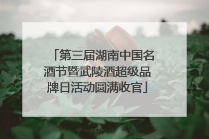 第三届湖南中国名酒节暨武陵酒超级品牌日活动圆满收官
