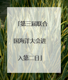 第三届联合国海洋大会进入第二日
