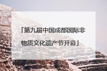 第九届中国成都国际非物质文化遗产节开幕