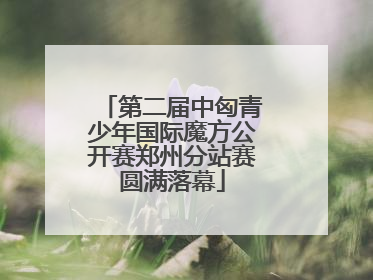 第二届中匈青少年国际魔方公开赛郑州分站赛圆满落幕