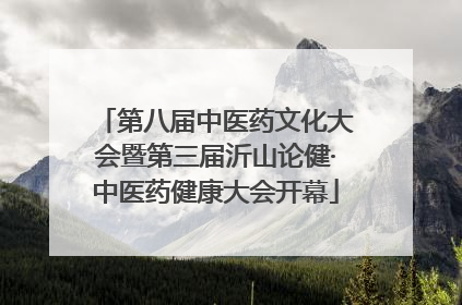第八届中医药文化大会暨第三届沂山论健·中医药健康大会开幕