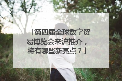 第四届全球数字贸易博览会来沪推介，将有哪些新亮点？