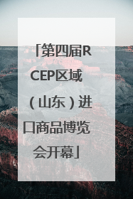 第四届RCEP区域（山东）进口商品博览会开幕