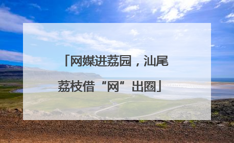 网媒进荔园，汕尾荔枝借“网”出圈