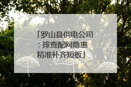 罗山县供电公司：排查配网隐患 精准补齐短板