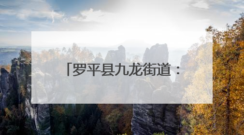 罗平县九龙街道：玉米制种“苗”绘产业兴农新画卷