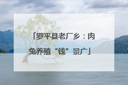罗平县老厂乡：肉兔养殖“钱”景广