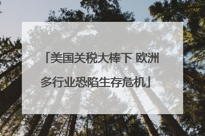 美国关税大棒下 欧洲多行业恐陷生存危机