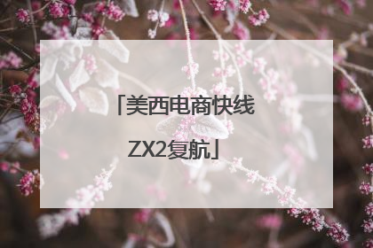 美西电商快线ZX2复航