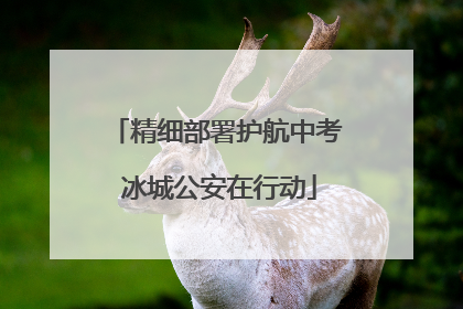 精细部署护航中考 冰城公安在行动