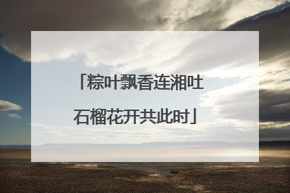粽叶飘香连湘吐 石榴花开共此时
