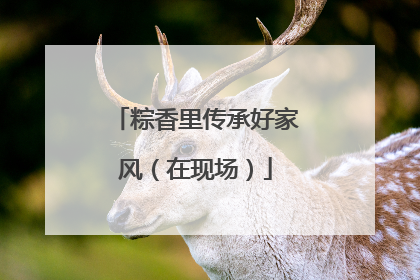 粽香里传承好家风（在现场）