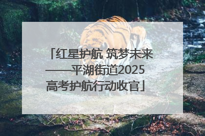 红星护航 筑梦未来——平湖街道2025高考护航行动收官