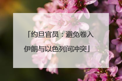 约旦官员：避免卷入伊朗与以色列间冲突