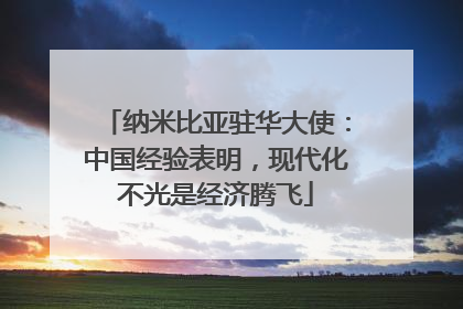 纳米比亚驻华大使：中国经验表明，现代化不光是经济腾飞