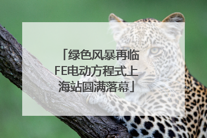 绿色风暴再临 FE电动方程式上海站圆满落幕