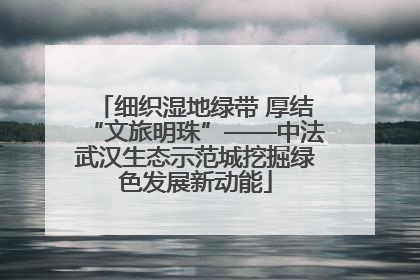 细织湿地绿带 厚结“文旅明珠”——中法武汉生态示范城挖掘绿色发展新动能