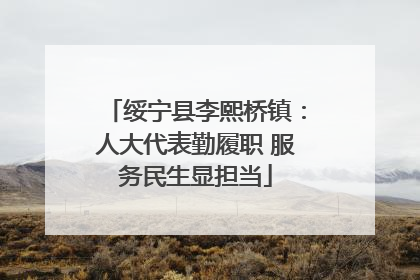 绥宁县李熙桥镇：人大代表勤履职 服务民生显担当