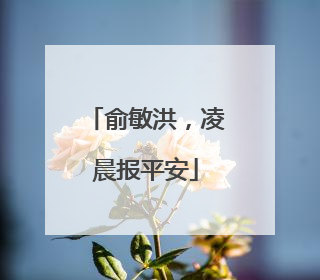 俞敏洪，凌晨报平安