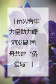 侨界青年力量助力嵊泗发展 同舟共建“侨爱岛”