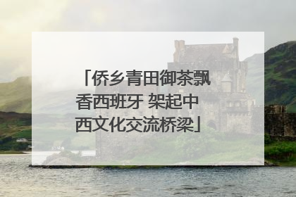 侨乡青田御茶飘香西班牙 架起中西文化交流桥梁