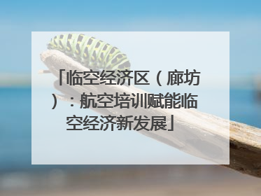 临空经济区（廊坊）：航空培训赋能临空经济新发展