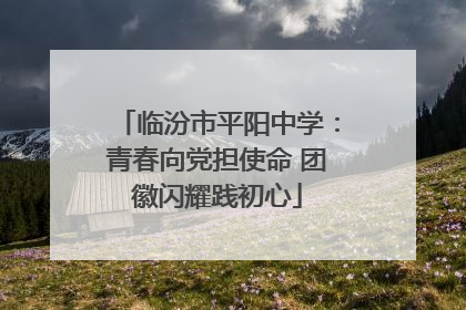 临汾市平阳中学：青春向党担使命 团徽闪耀践初心