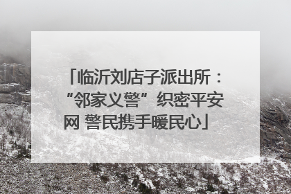 临沂刘店子派出所：“邻家义警”织密平安网 警民携手暖民心