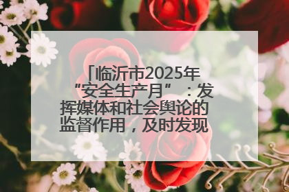 临沂市2025年“安全生产月”：发挥媒体和社会舆论的监督作用，及时发现并消除安全隐患