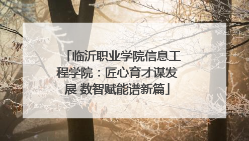 临沂职业学院信息工程学院：匠心育才谋发展 数智赋能谱新篇