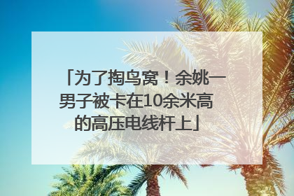 为了掏鸟窝！余姚一男子被卡在10余米高的高压电线杆上