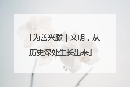 为善兴滕｜文明，从历史深处生长出来
