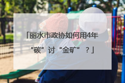丽水市政协如何用4年“碳”讨“金矿”？