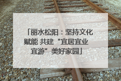 丽水松阳：坚持文化赋能 共建“宜居宜业宜游”美好家园