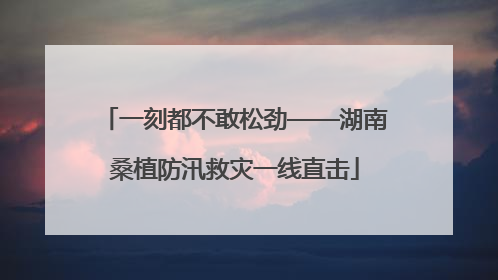 一刻都不敢松劲——湖南桑植防汛救灾一线直击