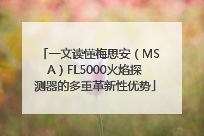 一文读懂梅思安（MSA）FL5000火焰探测器的多重革新性优势