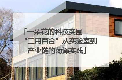 一朵花的科技突围——“三用百合”从实验室到产业链的菏泽实践