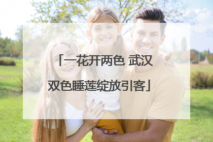 一花开两色 武汉双色睡莲绽放引客