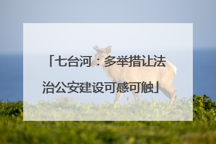 七台河：多举措让法治公安建设可感可触