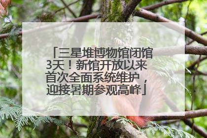 三星堆博物馆闭馆3天！新馆开放以来首次全面系统维护，迎接暑期参观高峰