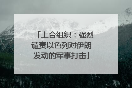 上合组织：强烈谴责以色列对伊朗发动的军事打击