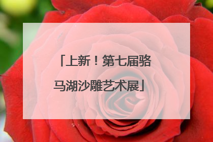 上新！第七届骆马湖沙雕艺术展